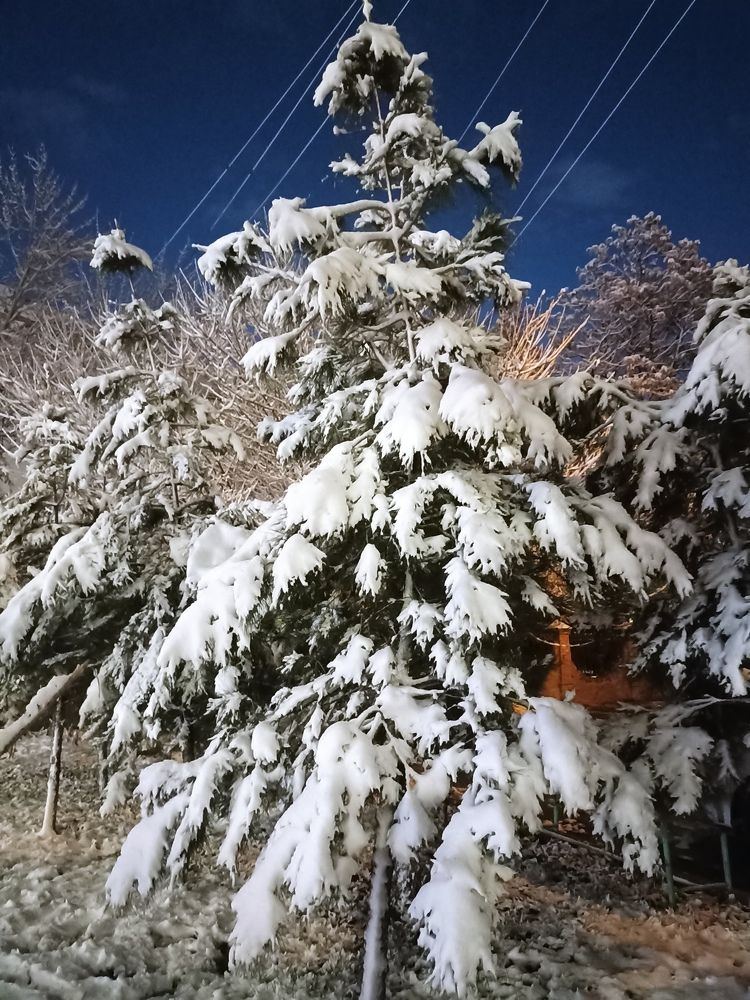 Photo #6772499
