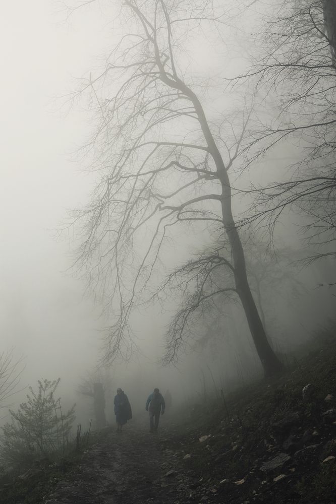 Photograph by Надежда Бормотова