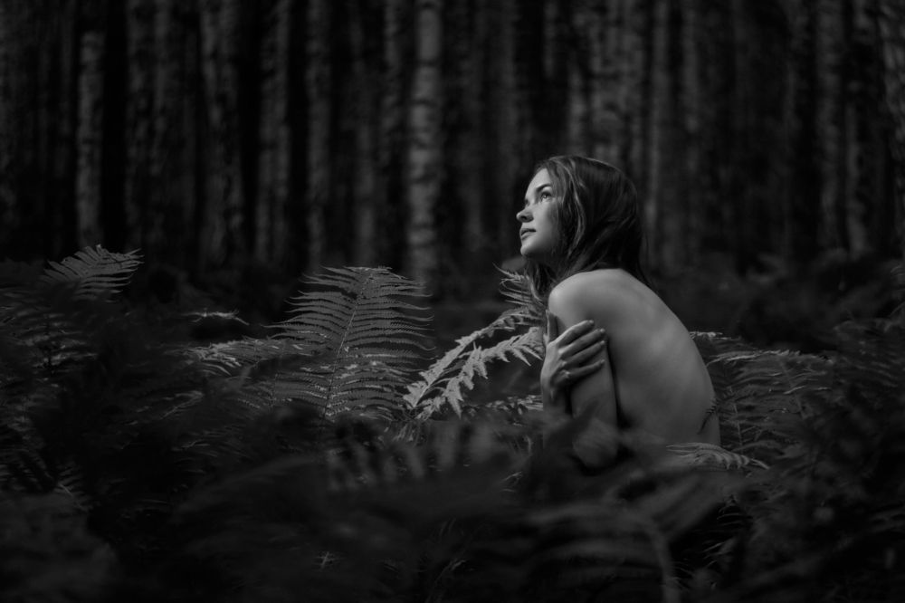 Photograph by Александр Захаров