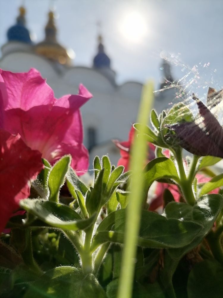 Photograph by Ниля