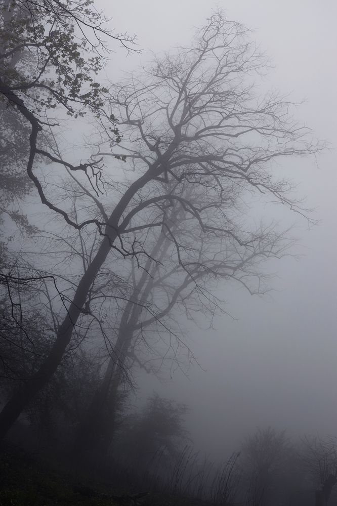 Photograph by Надежда Бормотова