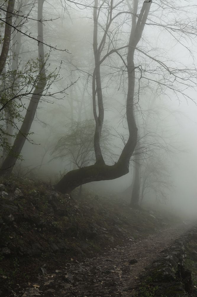 Photograph by Надежда Бормотова