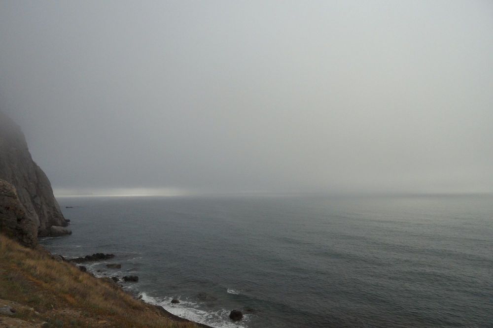 Фотография автора Алина Прищепа