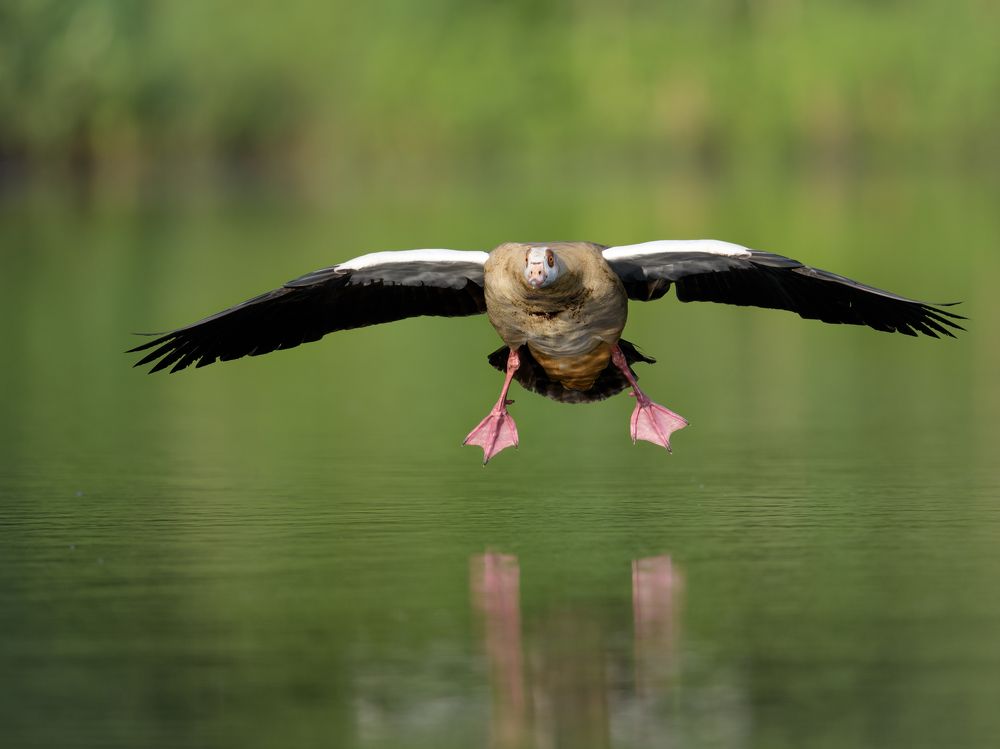 Photograph by prasanth muralidharan