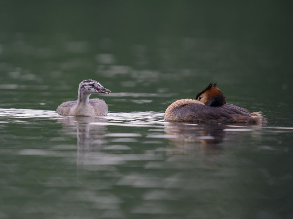 Photograph by prasanth muralidharan