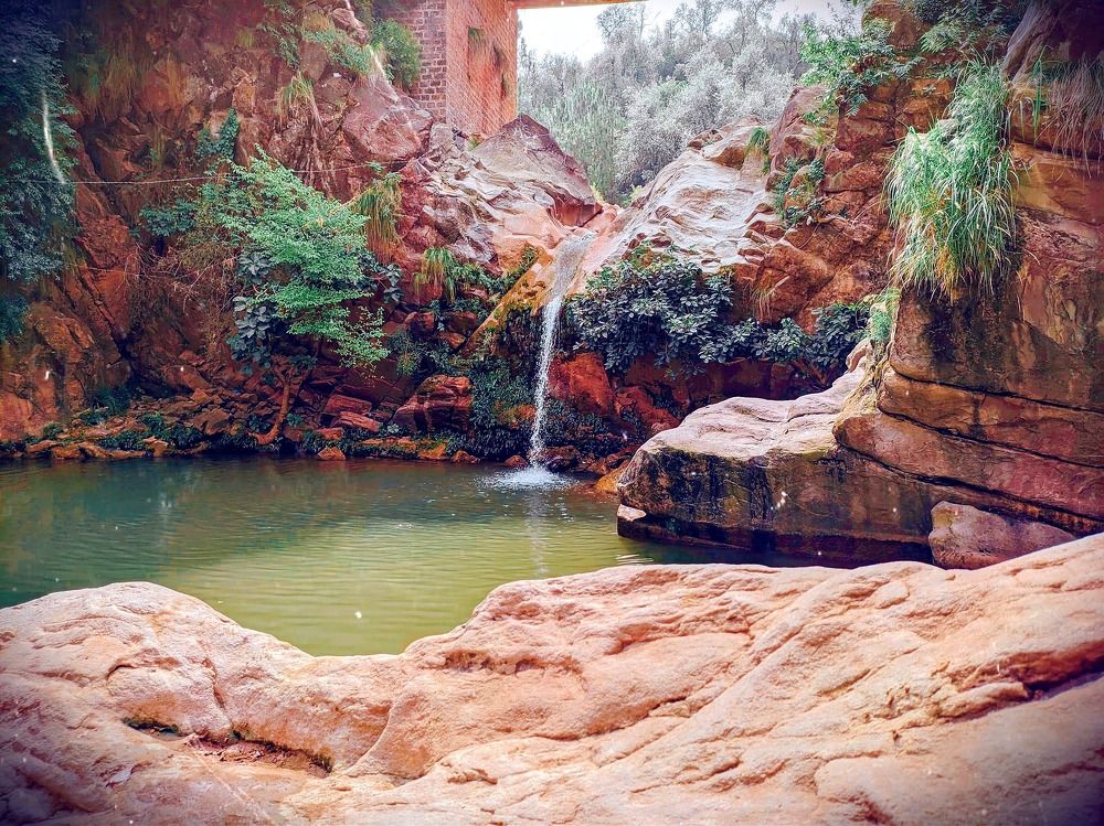 Photograph by Touheed