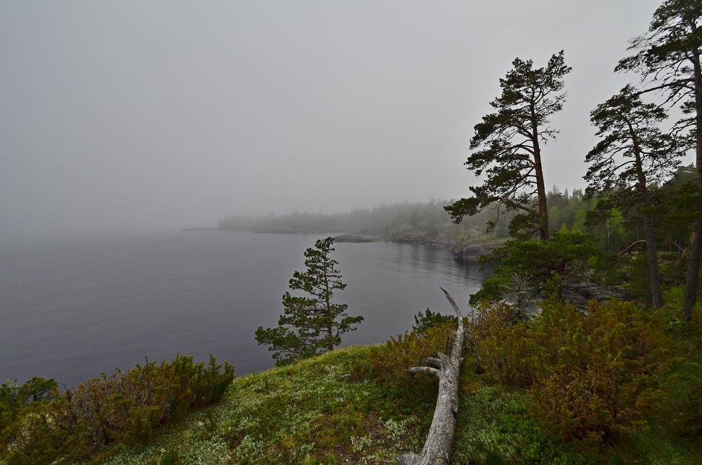 Photograph by Береславская Елена