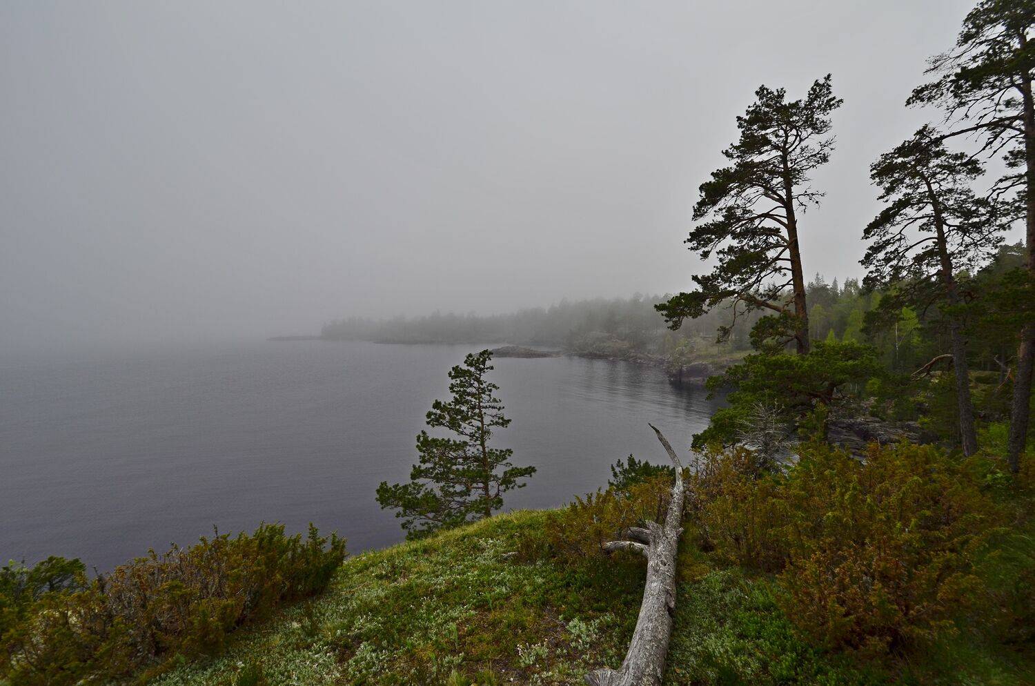 Photo #6772761