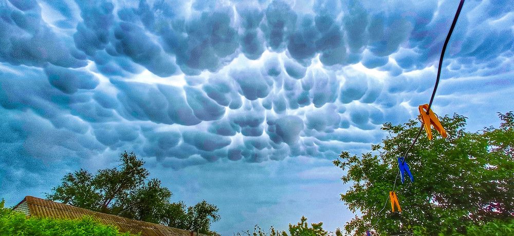 Photograph by Мария Бербега