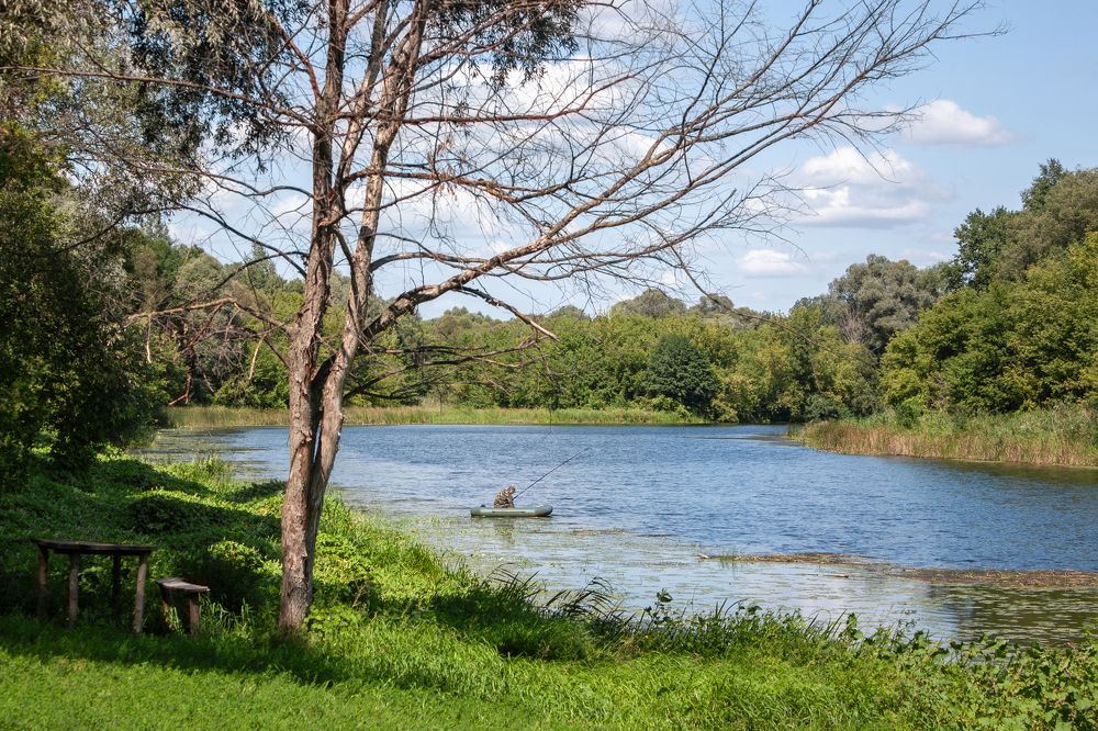 Photograph by Владимир Бузов