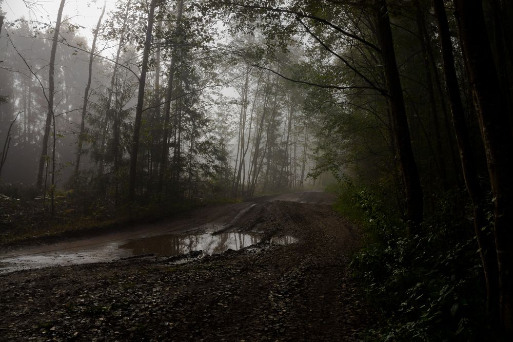 Photograph by Ершов Сергей