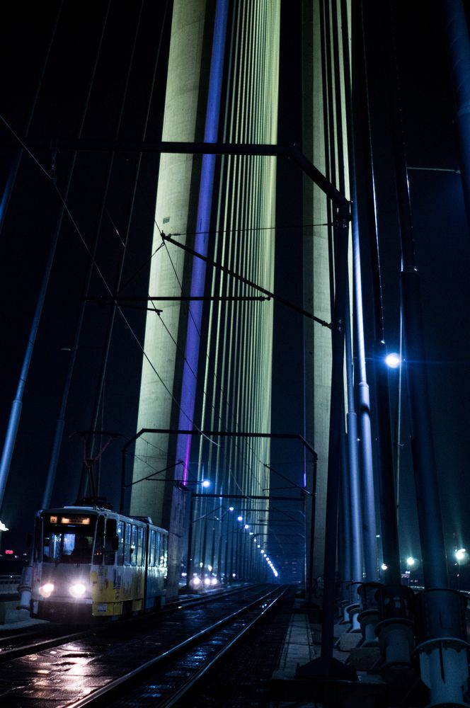 Photograph by Sreten Vitezović