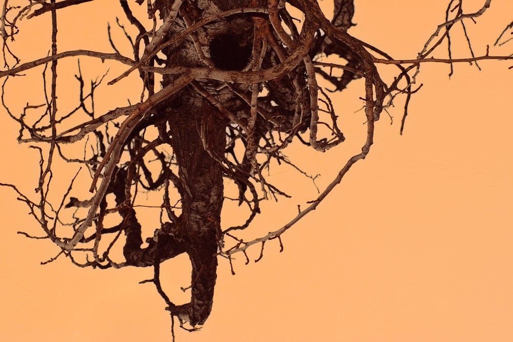 Photograph by Gabriella Sicurello