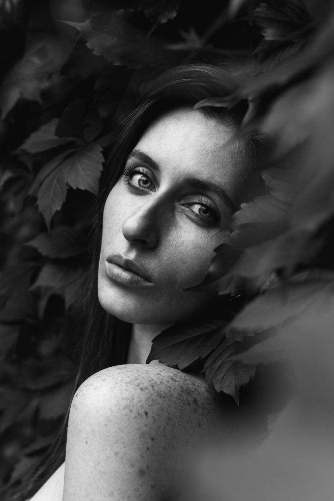 Фотография автора Романов Никита