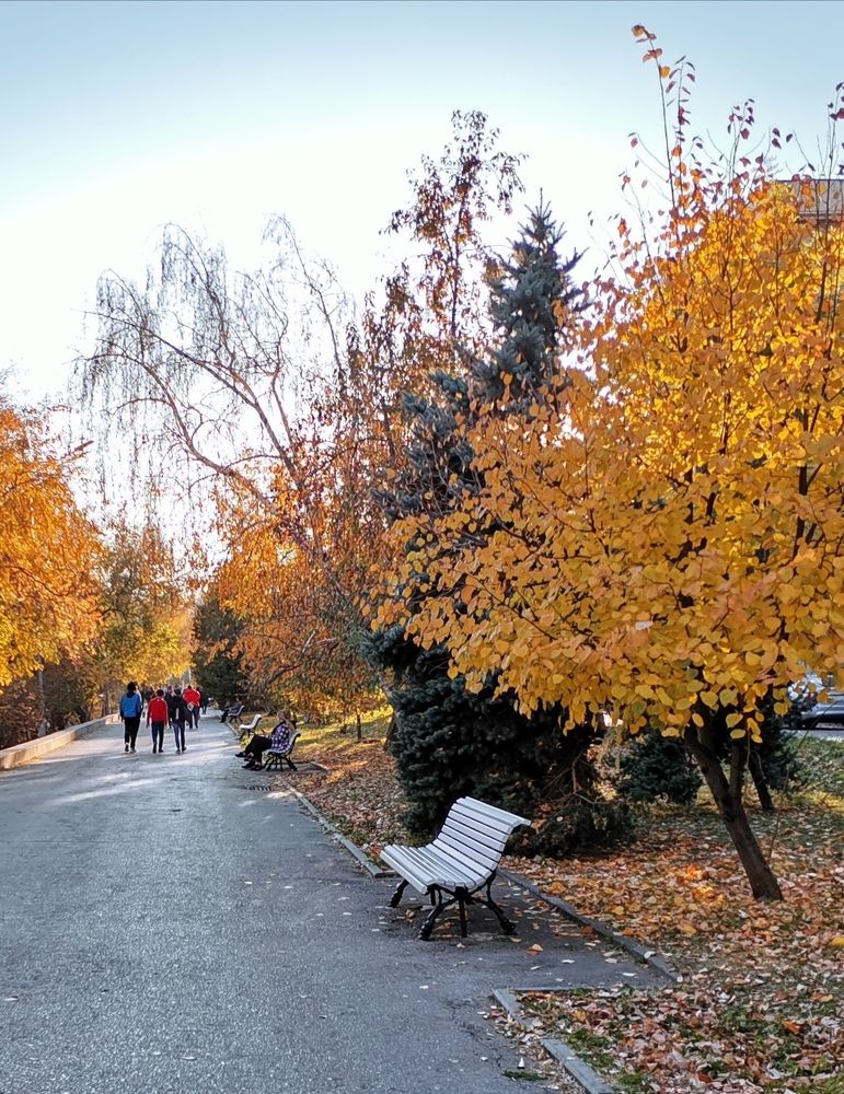 Photograph by Лепилина Юлия