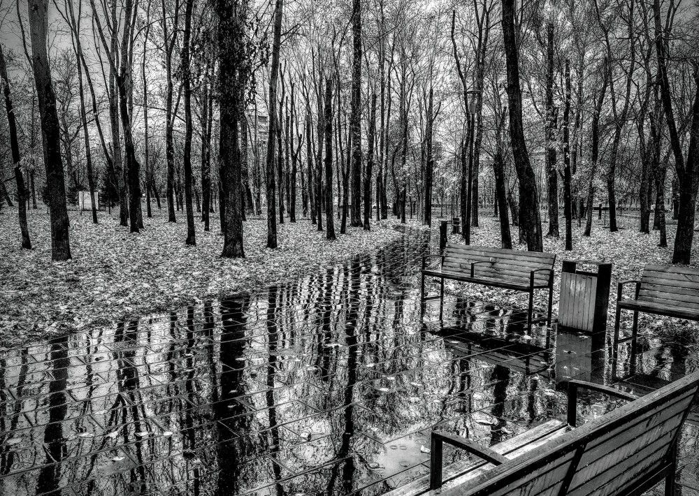 Фотография автора Любовь Кочеткова