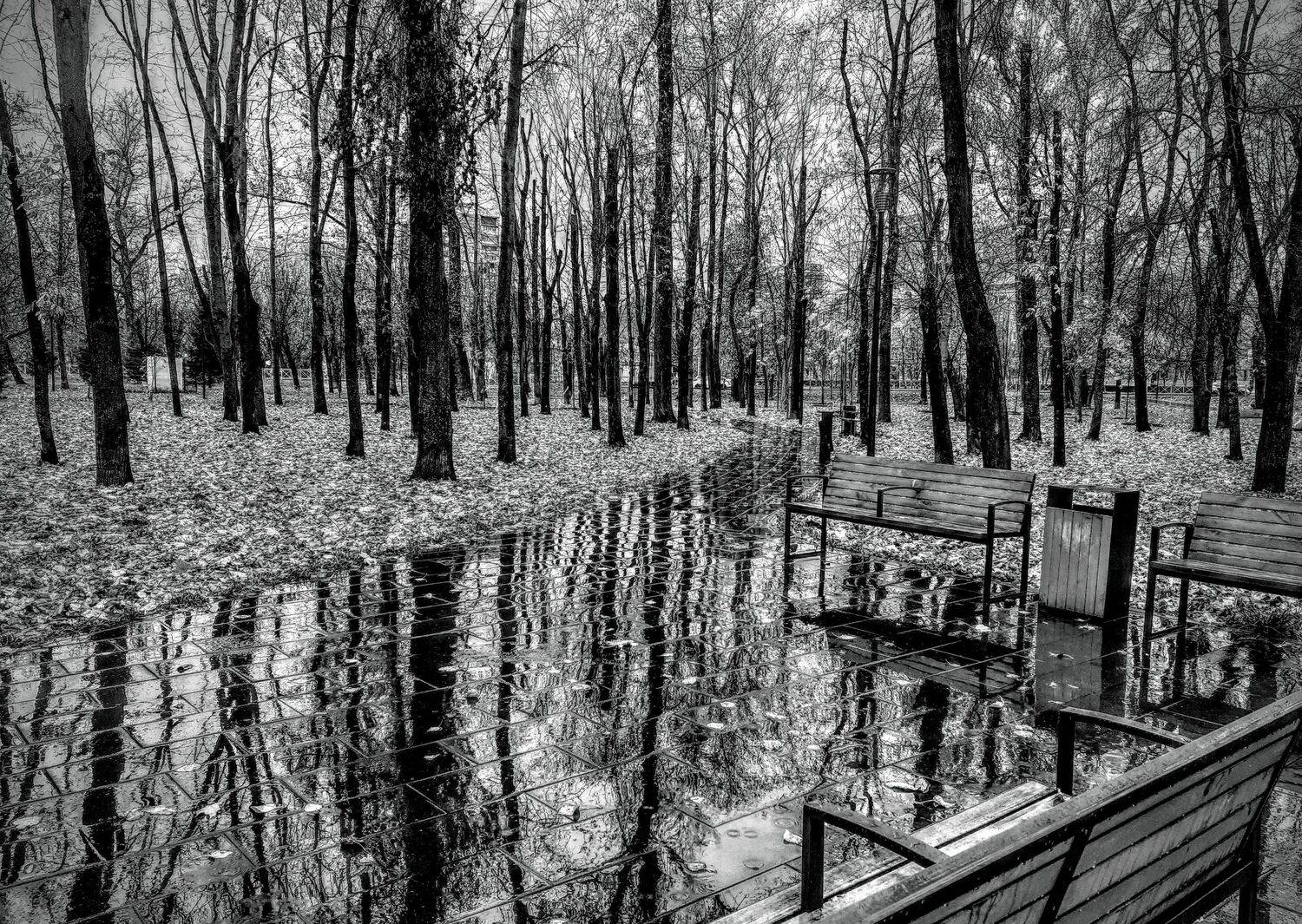 Photo #6772966