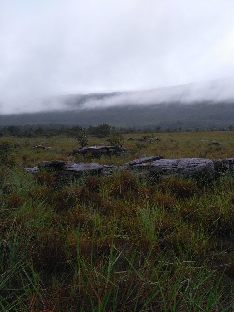 Photo #6773029