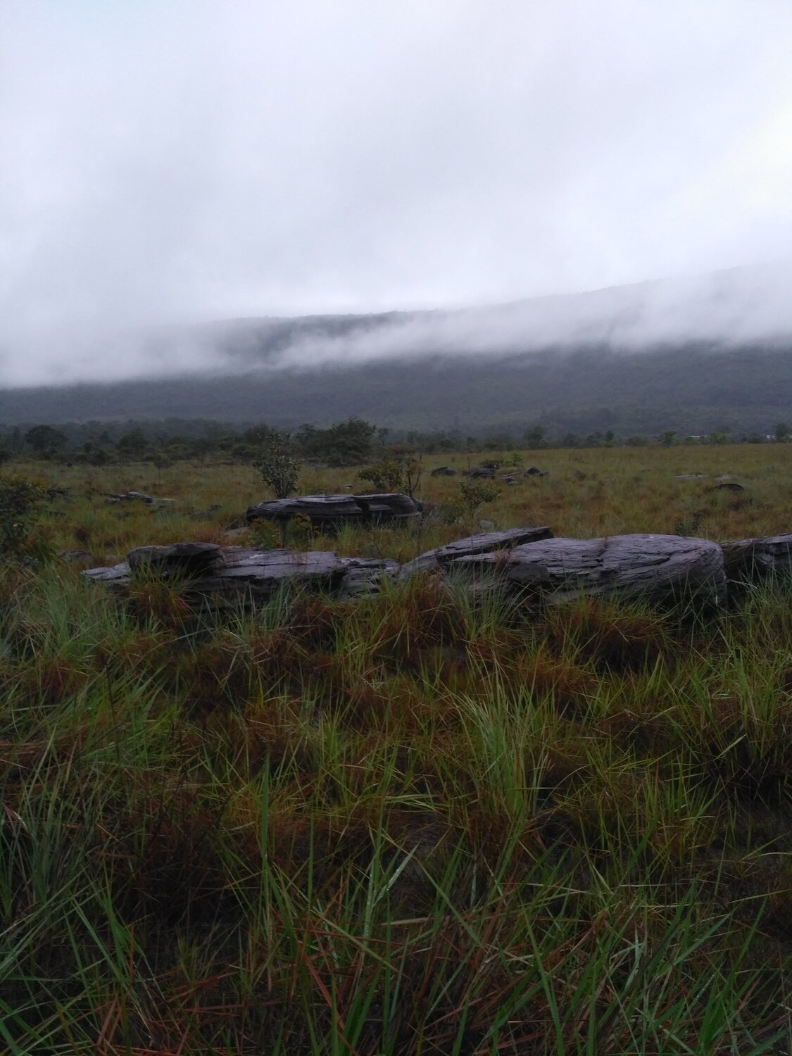 Photo #6773029