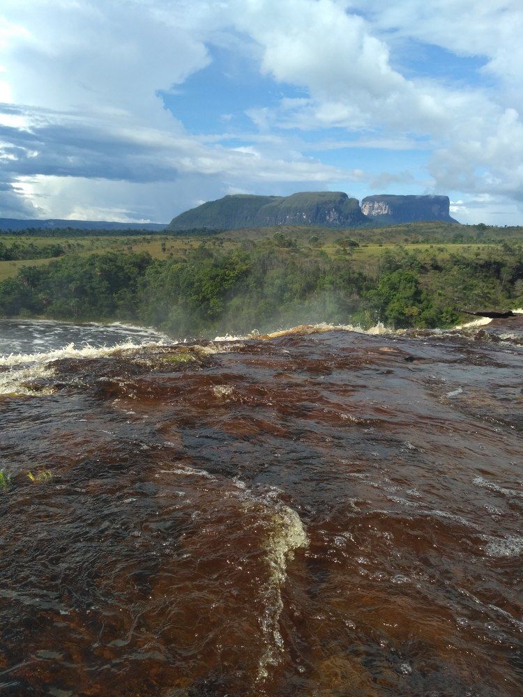 Photo #6773047