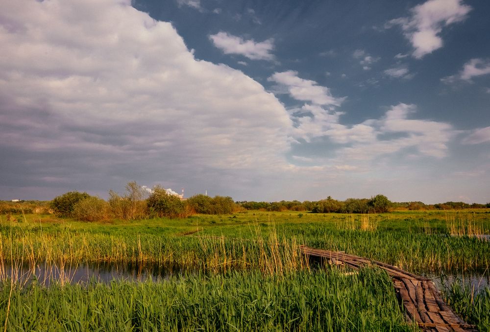 Photograph by Юрий Петруняк