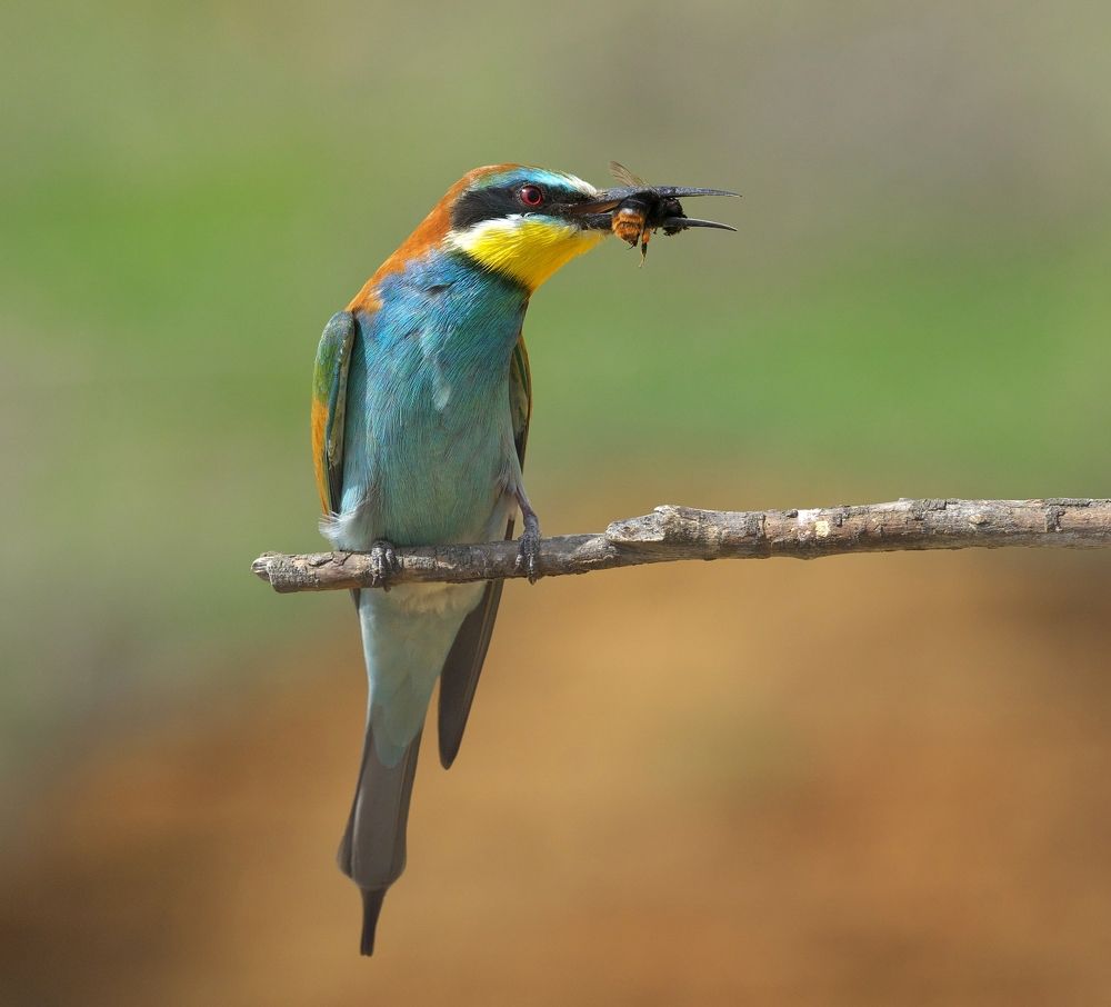 Photograph by Олег Есиков