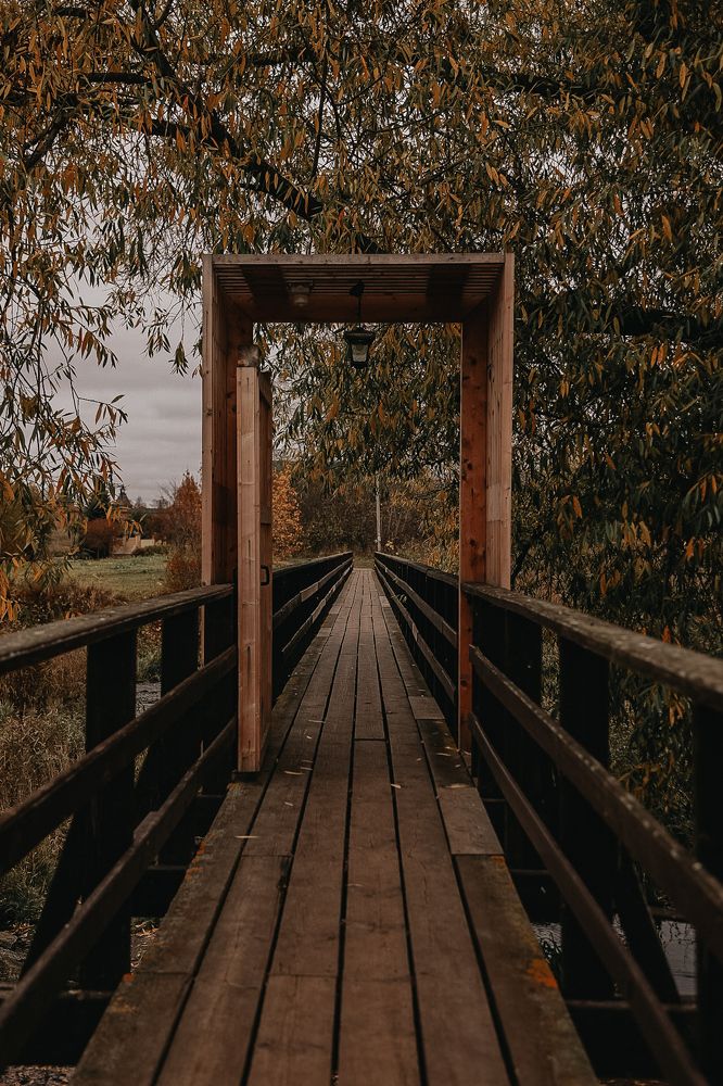 Path to Wonderland