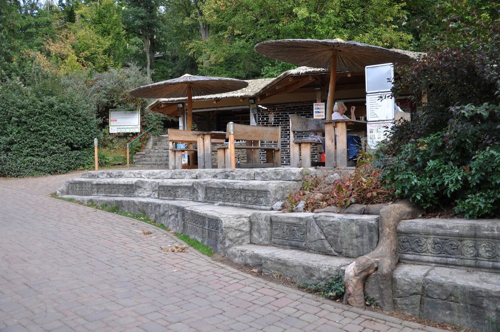 Photograph by Галина Лысых