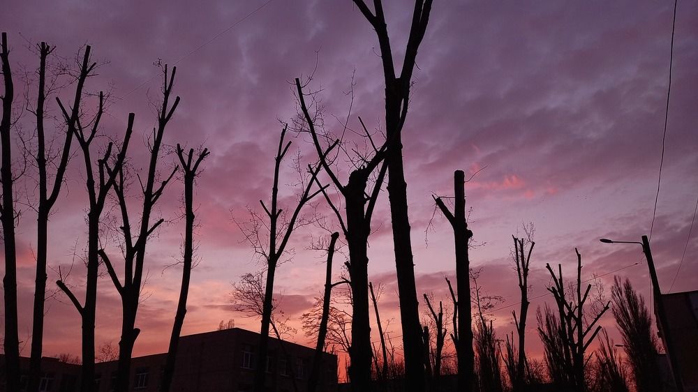 Photograph by Натали