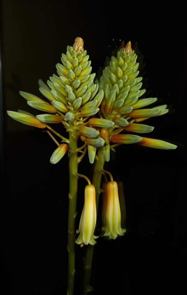 Photograph by Натали