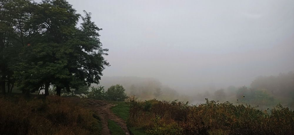 Photograph by Karina Sapfir