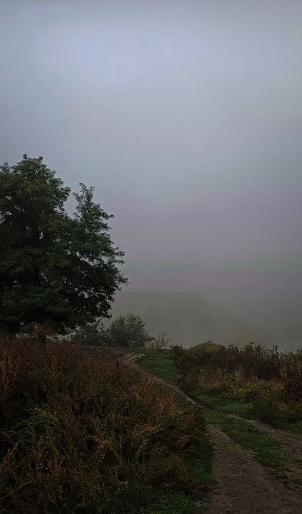 Photograph by Karina Sapfir