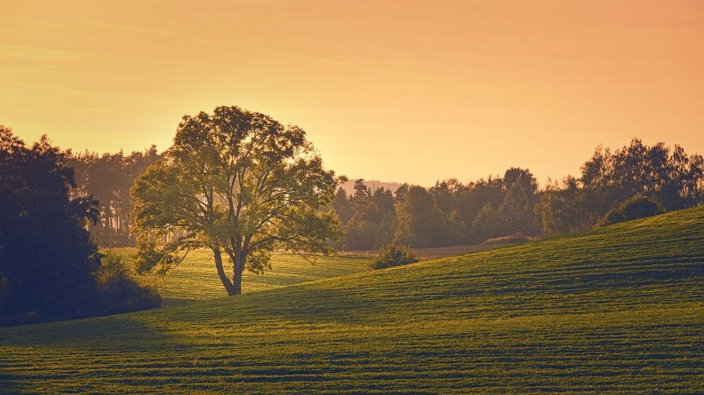 Photograph by Jan Musil