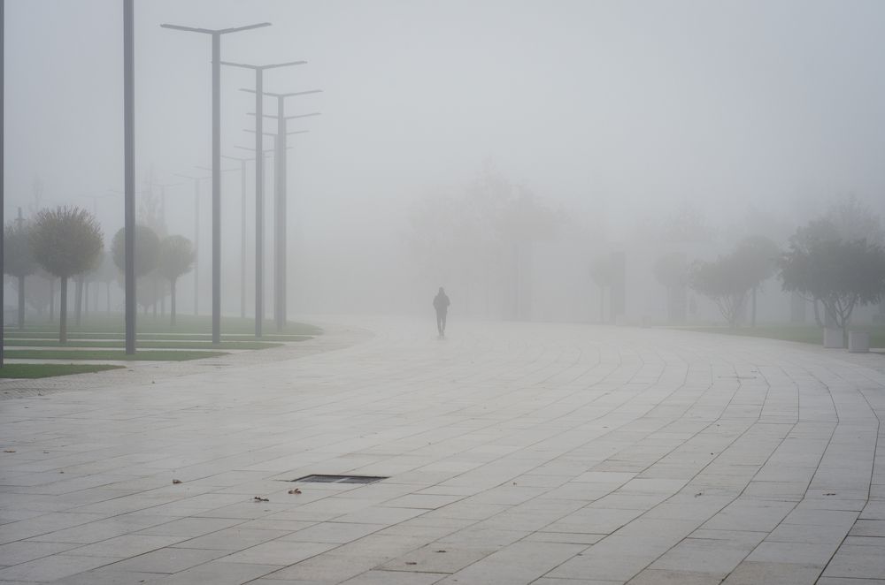 Photograph by Анастасия Кашенко