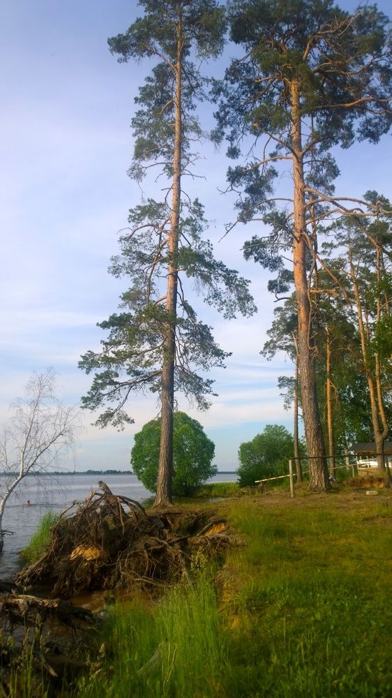 Photograph by Валерия Овсянникова