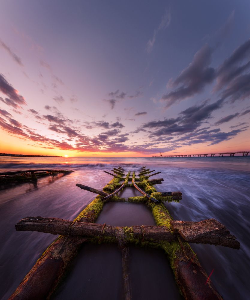 Photograph by Rumen Tzonchev