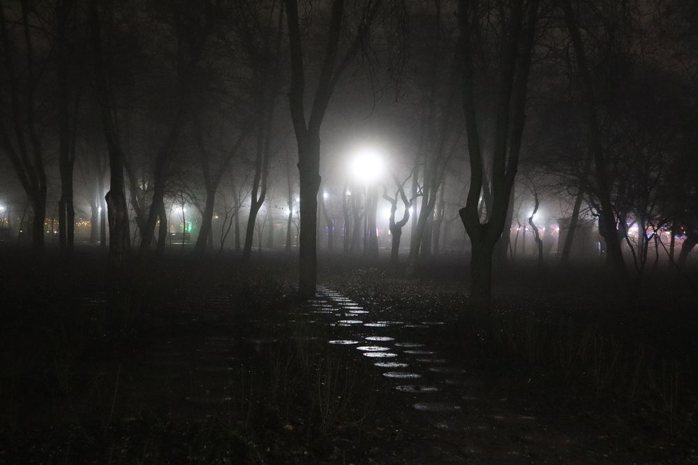 Photograph by Натали