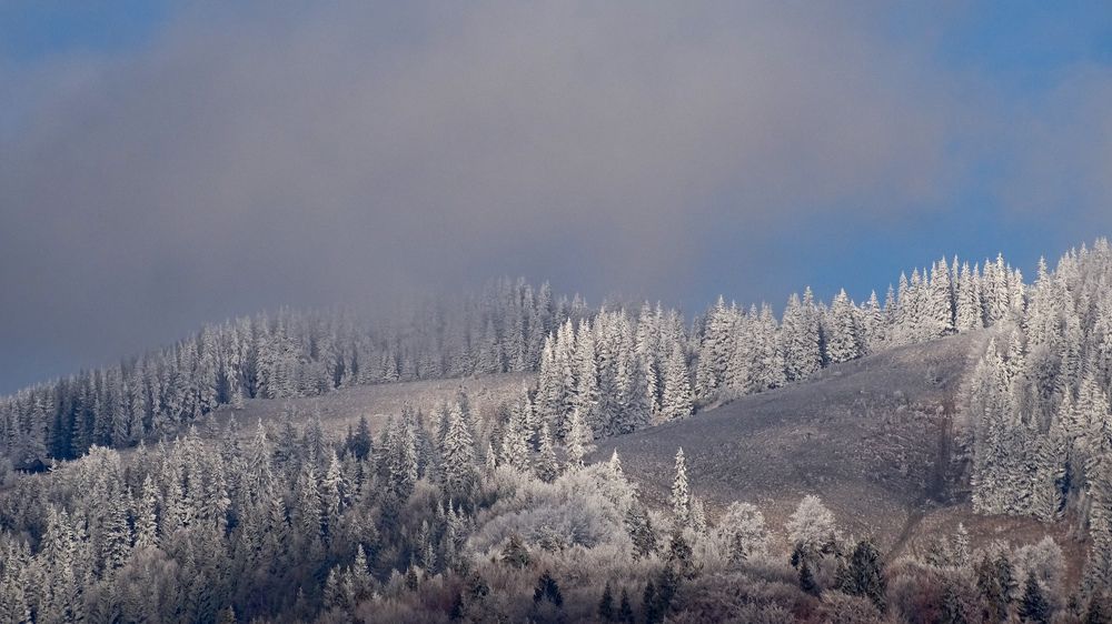 Фотография автора Remus Lucescu