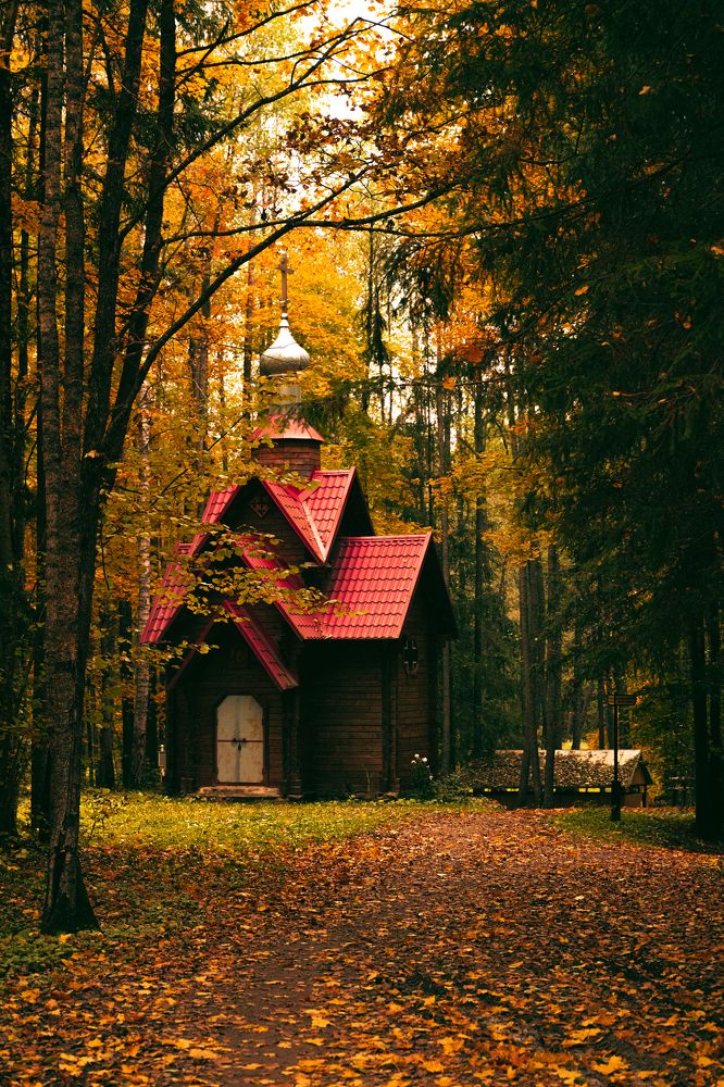 Фотография автора Дмитрий Романов