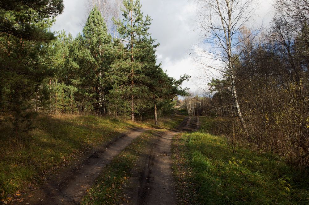 Photograph by Ольга Юсупова