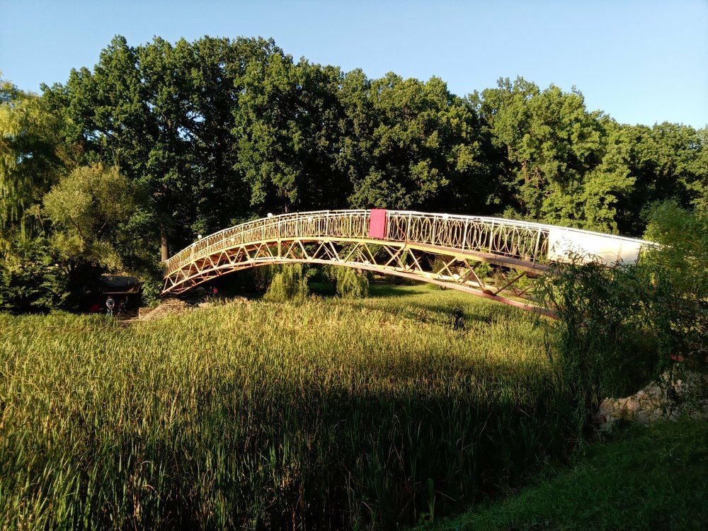 Photograph by Татьяна Пальчикова