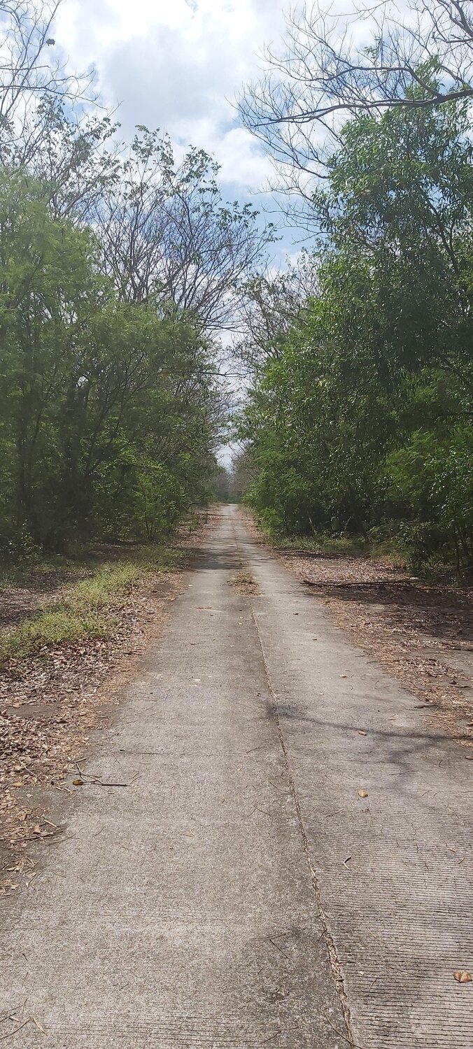 Photo #6773686