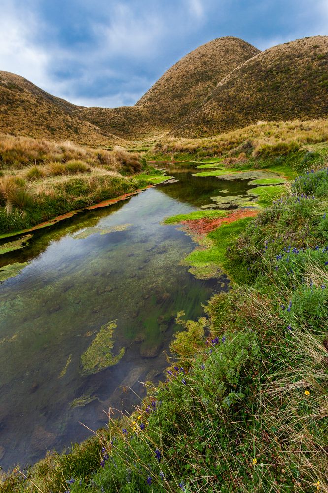 Photograph by Marco Vinicio Garzón Maya