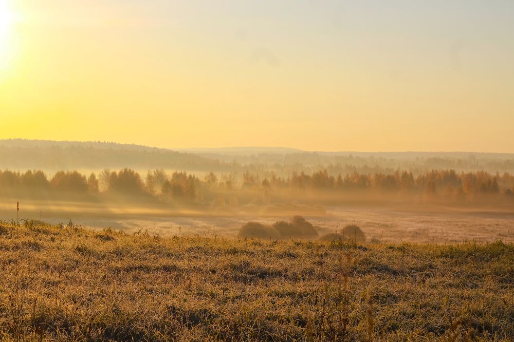 Photograph by Ковалев Николай