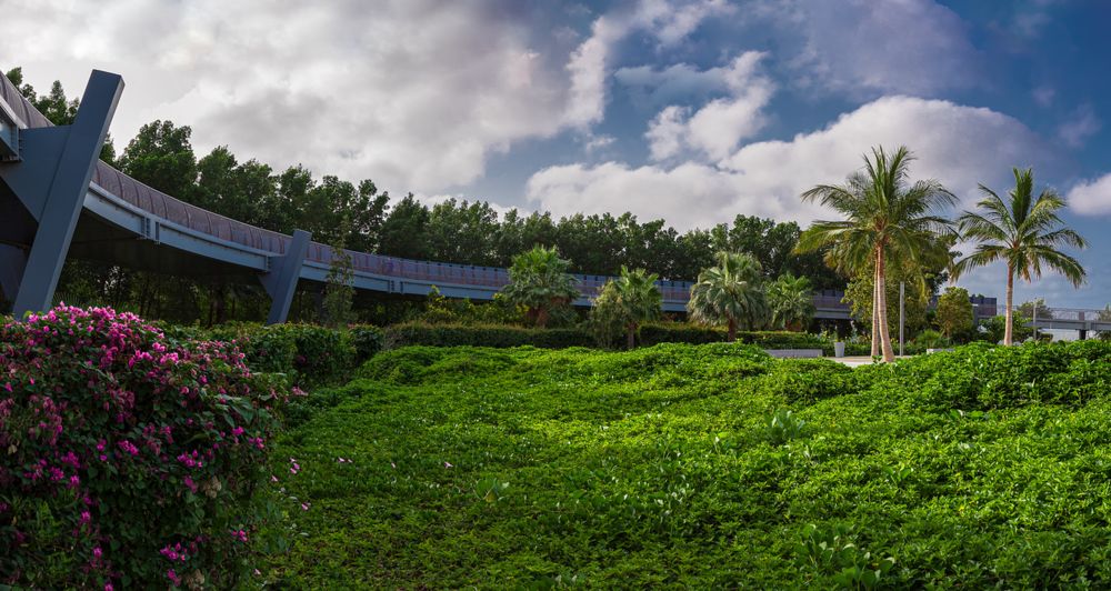 Photograph by Salma Hasil