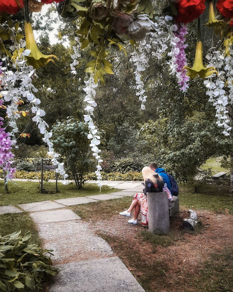 Photograph by Mobigraf