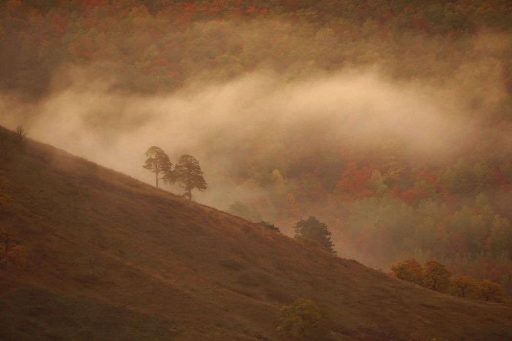 Photograph by Александр Попов