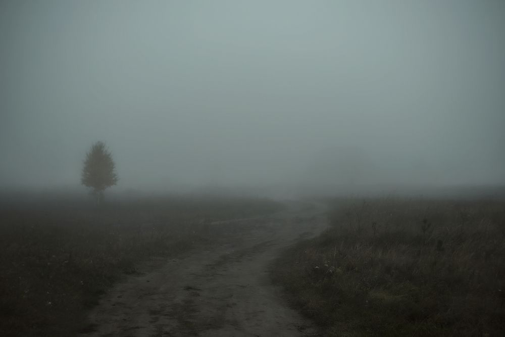 Photograph by Юлия