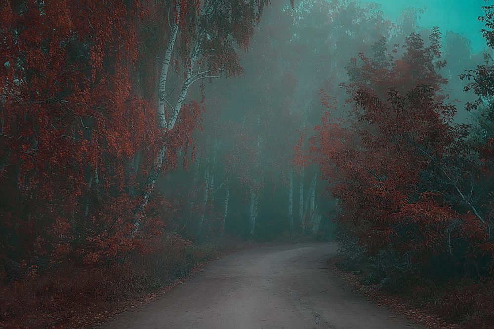 Photograph by Юлия