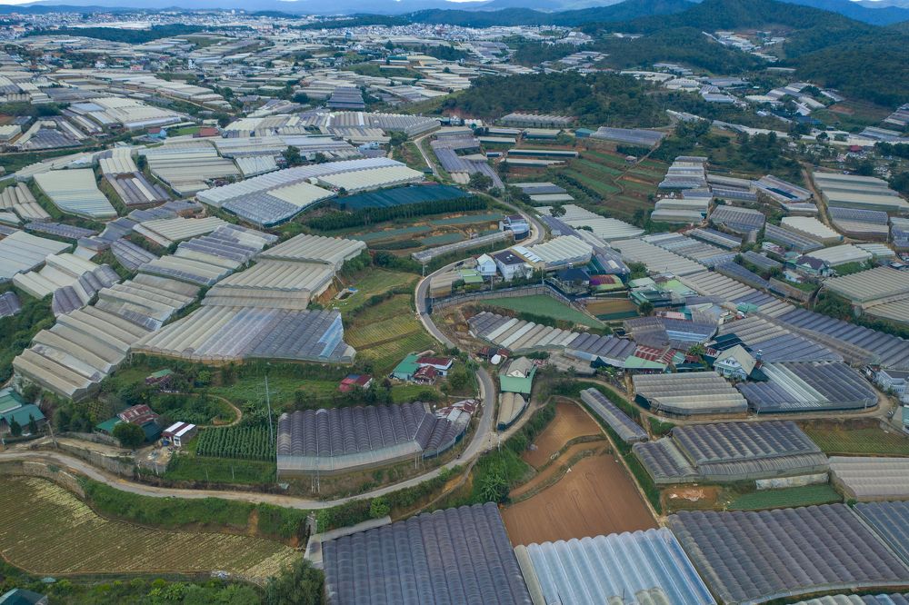 Photograph by Hoai Anh Dang